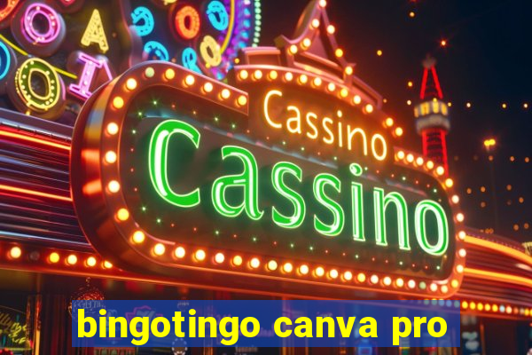 bingotingo canva pro